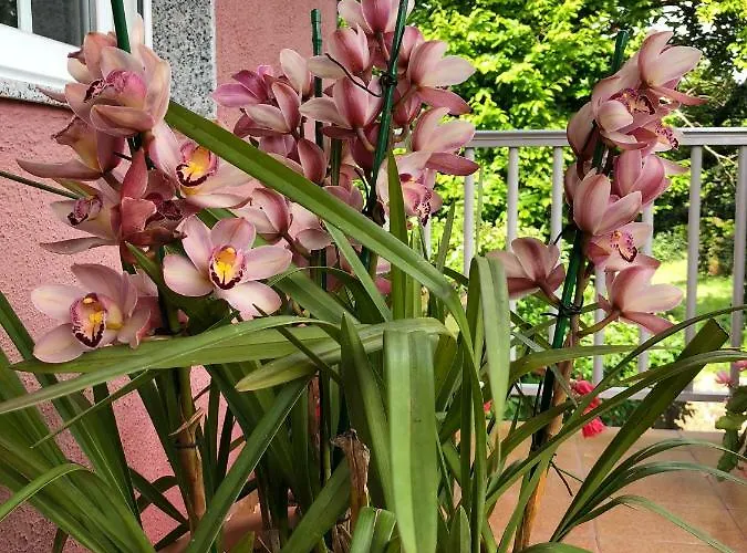 Dom wakacyjny La Casa De Perfecta Gondomar